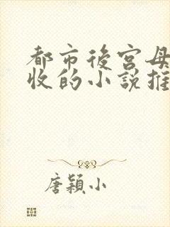 都市后宫母女全收的小说推荐小说