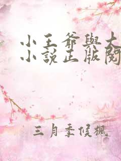 小王爷与大暗卫小说正版阅读