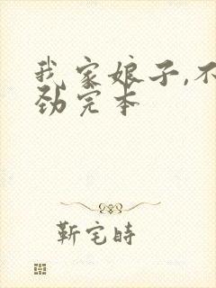 我家娘子,不对劲完本