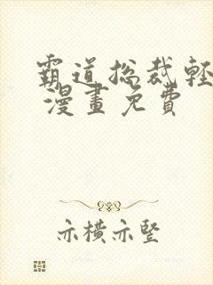 霸道总裁轻点爱 漫画免费