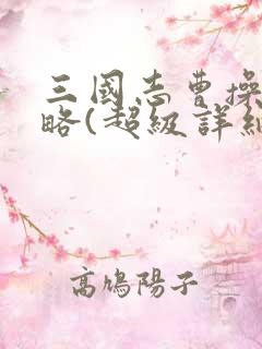 三国志曹操传攻略(超级详细)