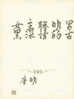 女主聪明男主腹黑深情的古言