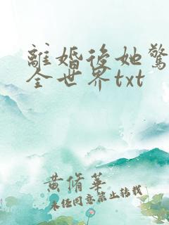 离婚后她惊艳了全世界txt