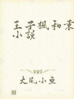 王子枫和袁雯洁小说