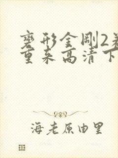 变形金刚2卷土重来高清下载