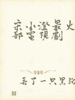 宋小澄最火的5部电视剧