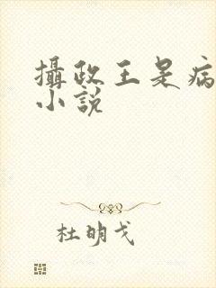 摄政王是病娇 小说