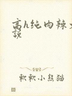 高h纯肉辣文小说
