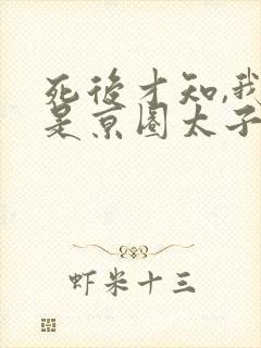 死后才知,我竟是京圈太子白月光免费观看