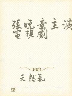 张晚意主演过的电视剧