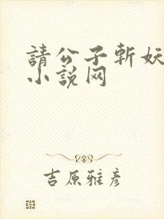请公子斩妖无错小说网