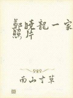 郑晓龙一家三口照片