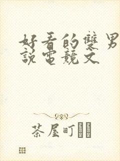 好看的双男主小说电竞文