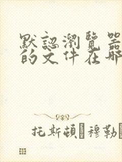 默认浏览器下载的文件在哪