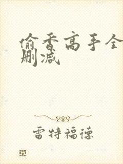 偷香高手全文无删减