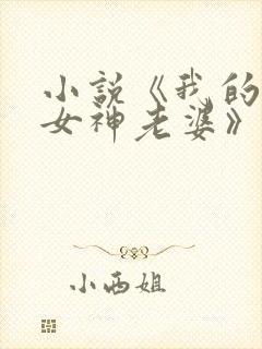 小说《我的绝美女神老婆》