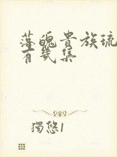 落魄贵族琉璃川有几集