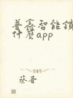 普鑫智能锁下载什么app