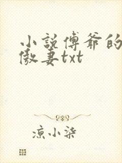 小说傅爷的王牌傲妻txt