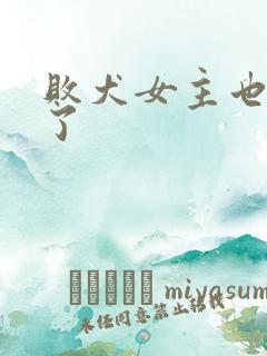 败犬女主也太多了