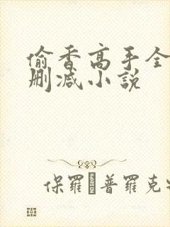 偷香高手全文无删减小说