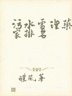 污水处理药剂厂家排名