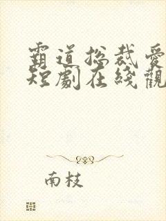 霸道总裁爱上我短剧在线观看免费高清