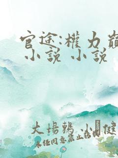 官途:权力巅峰 小说 小说