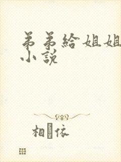 弟弟给姐姐下药小说