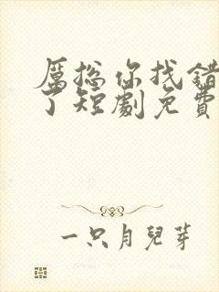 厉总你找错夫人了短剧免费全集