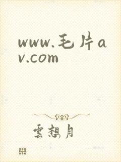 www.毛片av.com