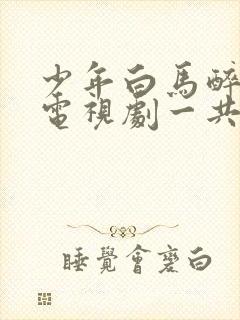 少年白马醉春风电视剧一共多少集