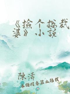 《捡个总裁做老婆》小说