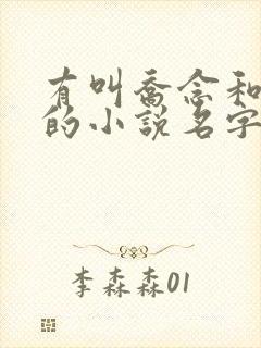 有叫乔念和林烨的小说名字