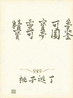 精灵宝可梦剑盾宝可梦图鉴