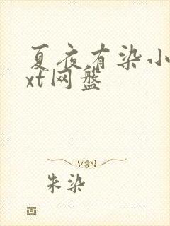 夏夜有染小说txt网盘