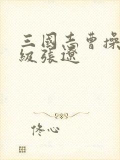 三国志曹操传3级张辽