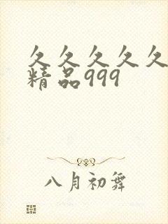 久久久久久国产精品999