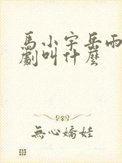 马小宇岳雨婷短剧叫什么