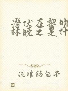 潜伏在黎明之前林晓之是什么人