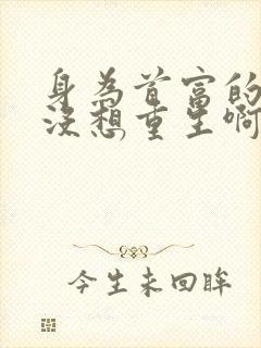 身为首富的我真没想重生啊