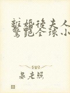 离婚后夫人携崽惊艳全球小说完整版本