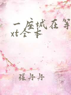 一座城在等你txt全本