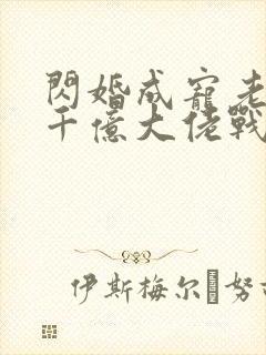 闪婚成宠老公是千亿大佬战胤海