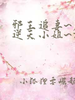 邪王追妻~废材逆天小姐~误惹妖孽王爷