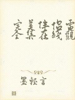 完美伴侣电视剧全集在线观看免费播放