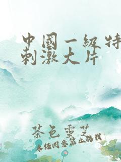 中国一级特黄特刺激大片