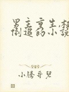 男主重生,校花倒追的小说