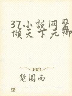 37小说网医妃倾天下元卿凌