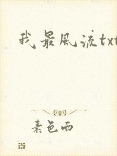我最风流txt
